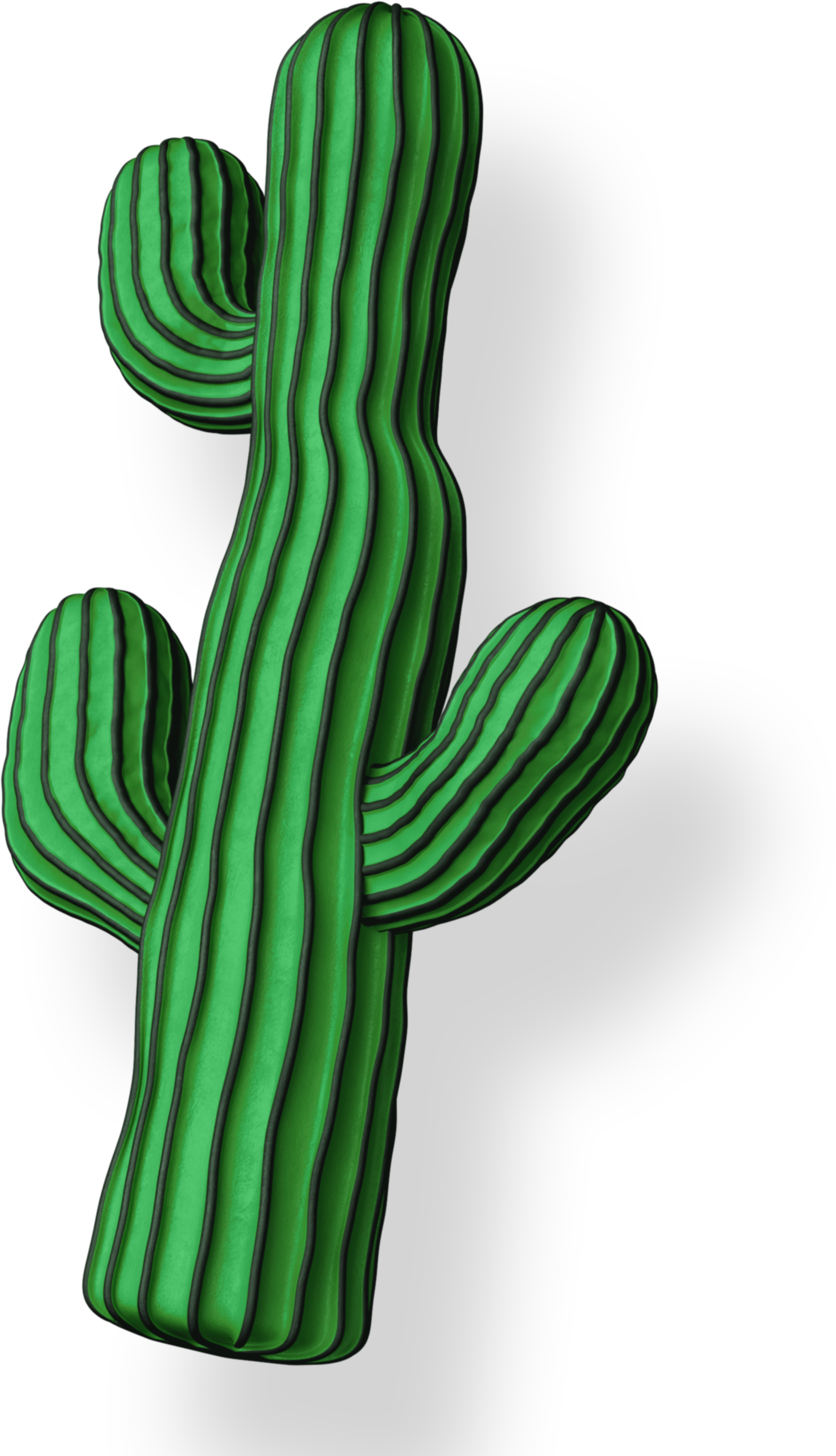 Cactus illustration